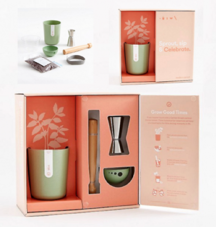 Sprout, Sip & Celebrate | Grow Kit Gift Box