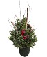 Spruce Tree Top Pot Arrangement