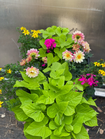 Square flower planter