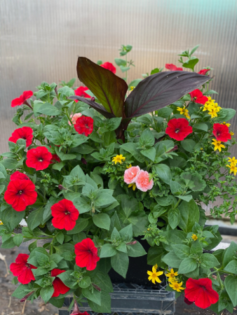 Square flower planter