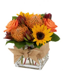 Square Protea Fall Flowers