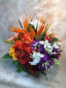 Square with Birds and Orchids