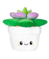 Squishable Mini Succulent Squishable 