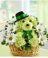 St Patrick's Day Dog Arrangement 