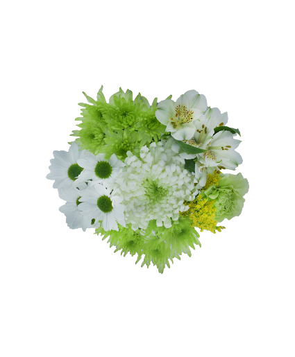 St. Patricks Shamrock Vase Arrangement