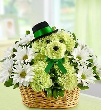 St Pattys Day Dog