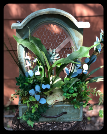 Staghorn Fern Planter Box