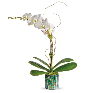 Stained Glass Orchid Pink or Blue Container avail 