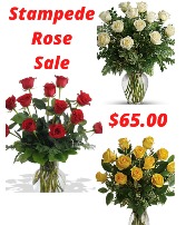 Stampede Rose Special 
