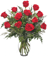 Standard Dozen Roses 