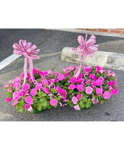 Standard Hanging Basket - Designers Choice  Mother's Day 