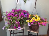 Standard Outdoor Hanging Basket 