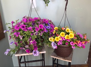 Standard Outdoor Hanging Basket 