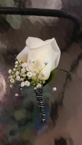 Category Image