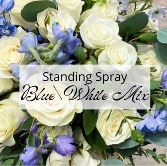 Standing Spray-Blue/White 