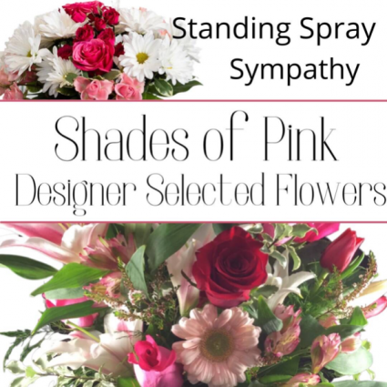 Standing Spray Pink
