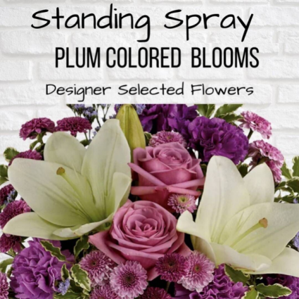 Standing Spray-Plum
