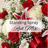 Standing Spray-Red/White 