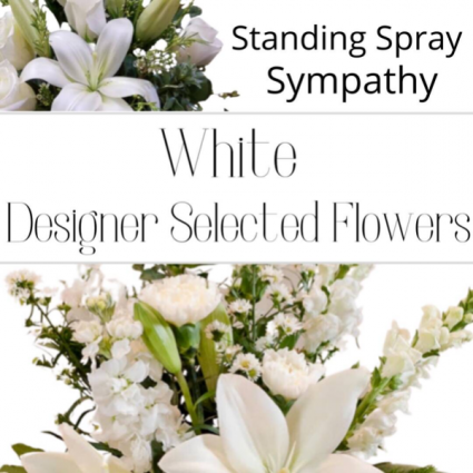 Standing Spray White