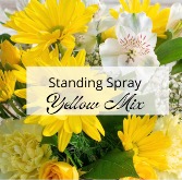 Standing Spray-Yellow/White 