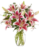 Star Gazer Lillies in Tall Vase fresh floral