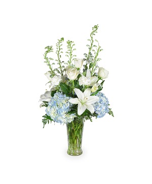 STAR GAZING fresh arrangement