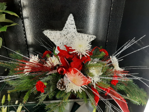 Star is Bright Christmas