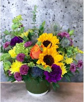 Starburst Container Arrangement