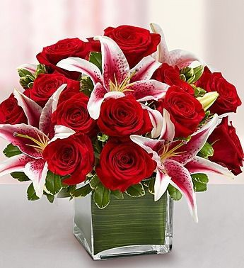Stargazer and Rose Cube