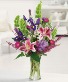 Stargazer garden Mixed arrangement