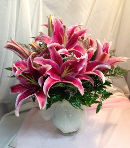 Stargazer Heaven Best Seller