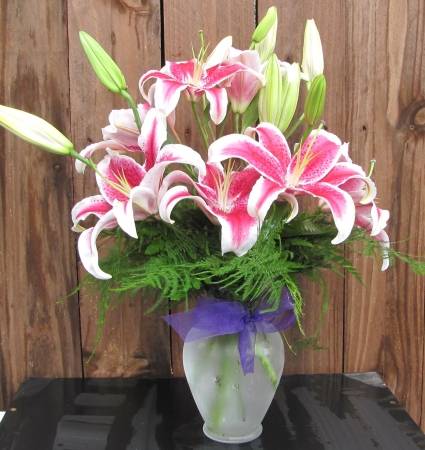 stargazer lily arrangement limited