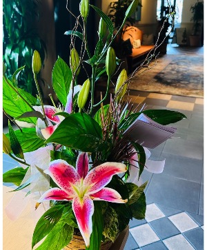 Stargazer Planter  