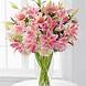 Stargazer Splendid Beautiful Stargazer Vase Arrangement