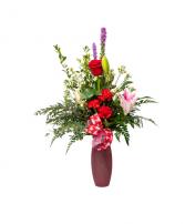 Stargazer  Valentines Day