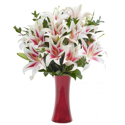 Stargazer Vase