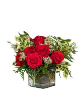 Starlet Arrangement
