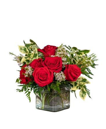 Starlet Arrangement in Vinton, VA | CREATIVE OCCASIONS EVENTS, FLOWERS & GIFTS Starlet Arrangement in Vinton, VA | CREATIVE OCCASIONS EVENTS, FLOWERS & GIFTS