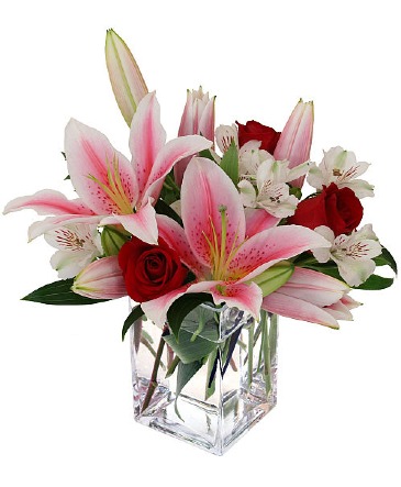Starlight Bouquet in Fort Worth, TX | DARLA'S FLORIST