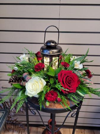 Starry Light Lantern Centrepiece Christmas in Winnipeg, MB | EDELWEISS FLORIST