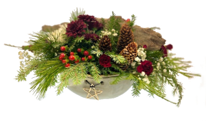 Woodlands Starry Night Container Arrangement in Invermere, BC | INSPIRE FLORAL BOUTIQUE Woodlands Starry Night Container Arrangement in Invermere, BC | INSPIRE FLORAL BOUTIQUE