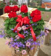 Stars and Stripes Basket Hanging Basket