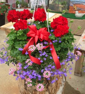 Stars and Stripes Basket Hanging Basket in Mansfield, OH | JANET'S FLORAL DESIGN Stars and Stripes Basket Hanging Basket in Mansfield, OH | JANET'S FLORAL DESIGN