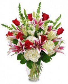 Category Image