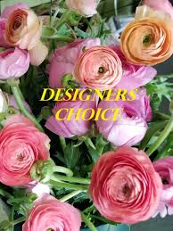 Starting at Designer's Choice