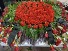 Purchase this funeral home arrangement
