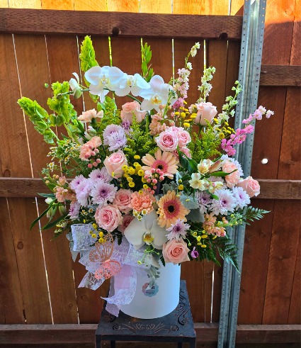 Stay VIORgeous Blooms 