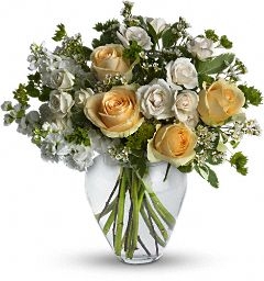 Stella $50.95, $55.95, $60.95