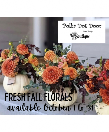 Step into October with the beauty of fall flowers!  in Osoyoos, BC | POLKA DOT DOOR