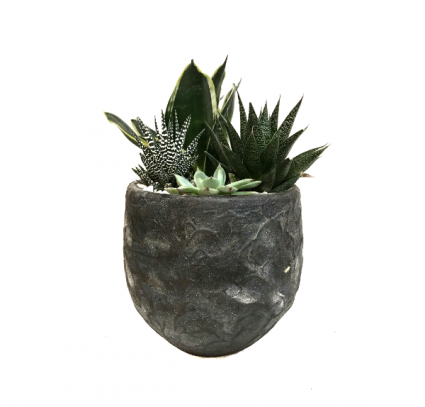 The Stone Grey Succulent Planter